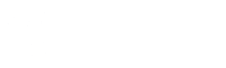 vailo_ai_logo.png